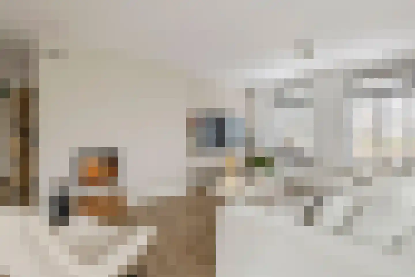 Prof. P.H. Buismanlaan 30 Tiel thumbnail 9