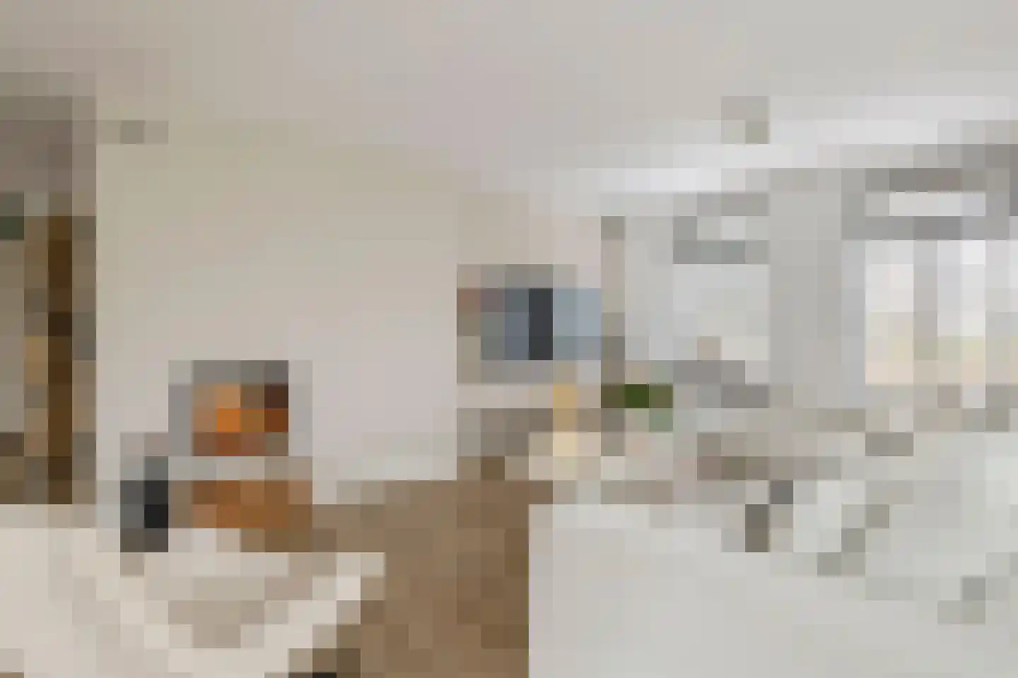 Prof. P.H. Buismanlaan 30 Tiel thumbnail 9