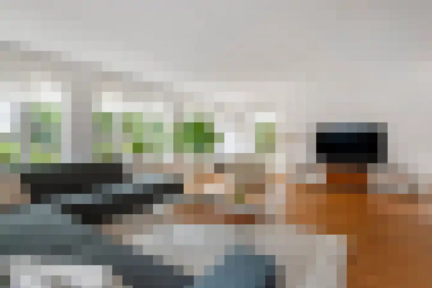 Prof. P.H. Buismanlaan 37 Tiel thumbnail 10