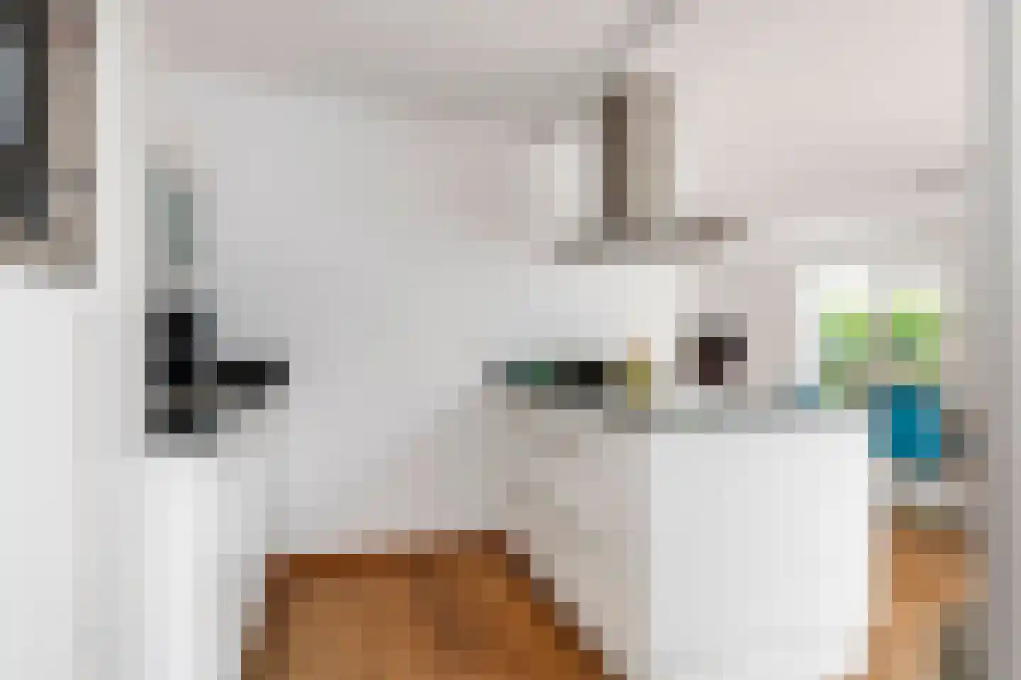 Prof. P.H. Buismanlaan 37 Tiel thumbnail 18