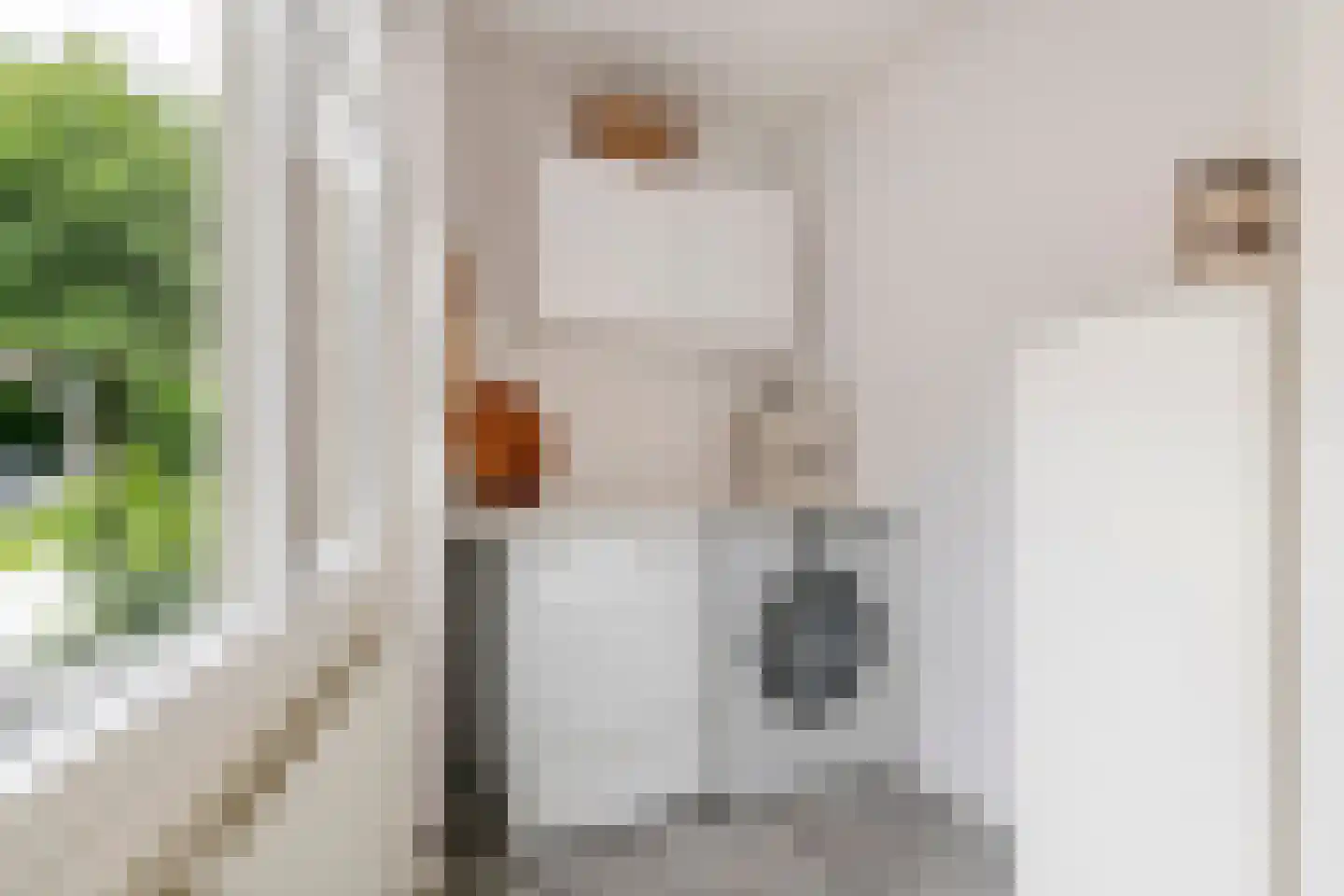 Prof. P.H. Buismanlaan 37 Tiel thumbnail 25