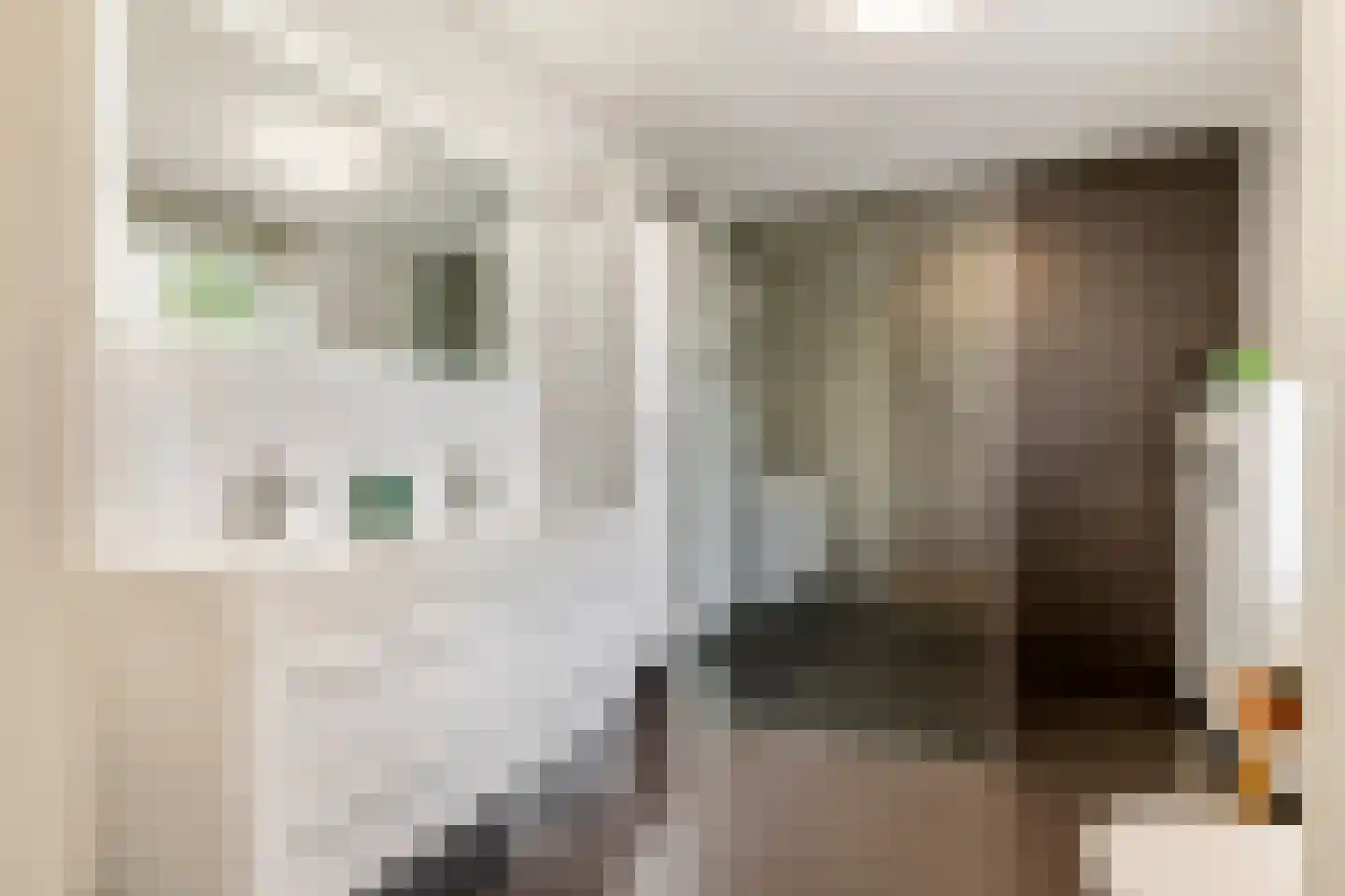 Prof. P.H. Buismanlaan 37 Tiel thumbnail 35