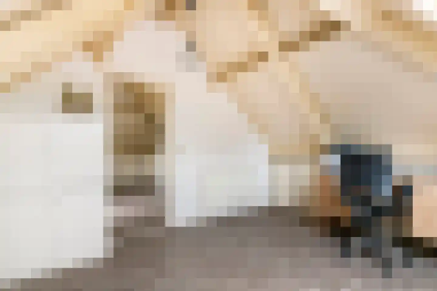 Prof. P.H. Buismanlaan 37 Tiel thumbnail 41