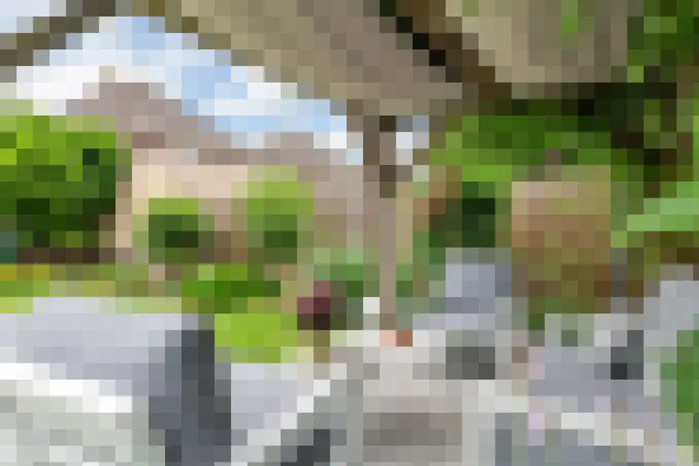 Prof. P.H. Buismanlaan 37 Tiel thumbnail 47