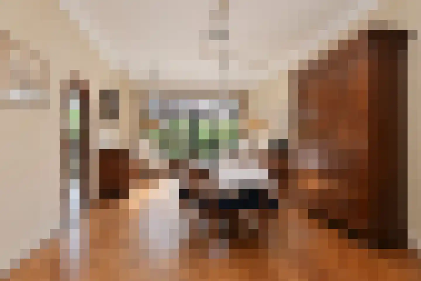 Prof. P.S. Gerbrandyweg 3 Den Haag thumbnail 11