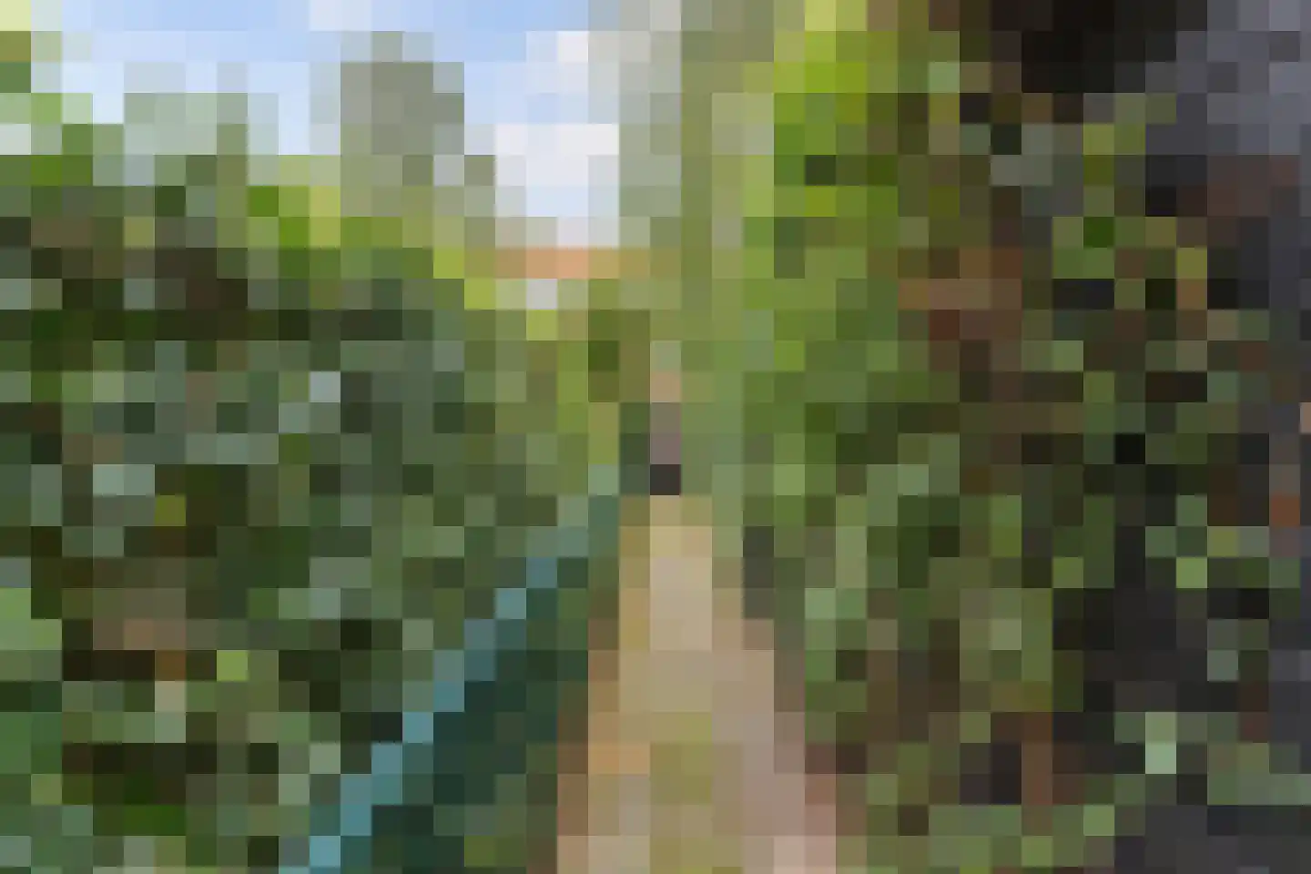 Prof. P.S. Gerbrandyweg 3 Den Haag thumbnail 16