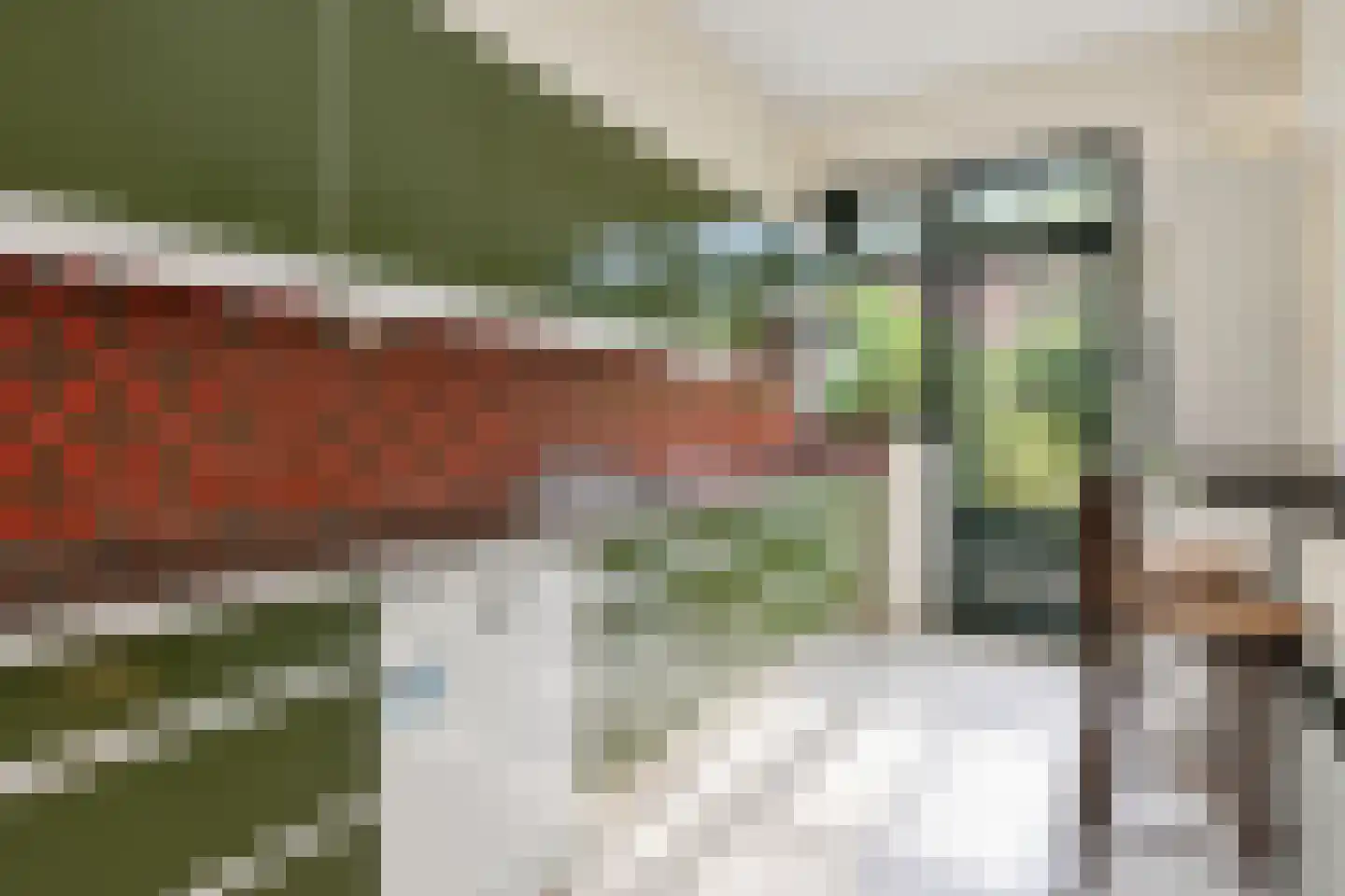 Prof. P.S. Gerbrandyweg 3 Den Haag thumbnail 19