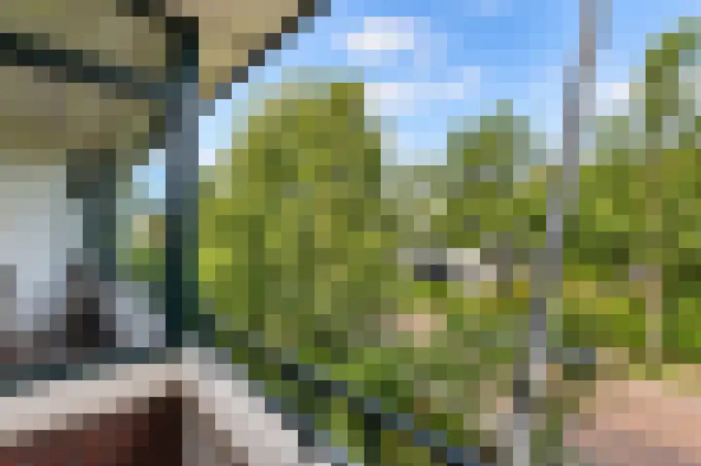 Prof. P.S. Gerbrandyweg 3 Den Haag thumbnail 34