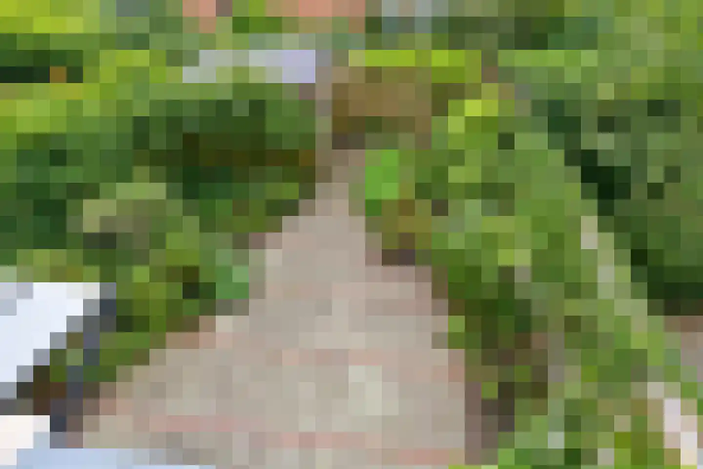 Prof. P.S. Gerbrandyweg 3 Den Haag thumbnail 35