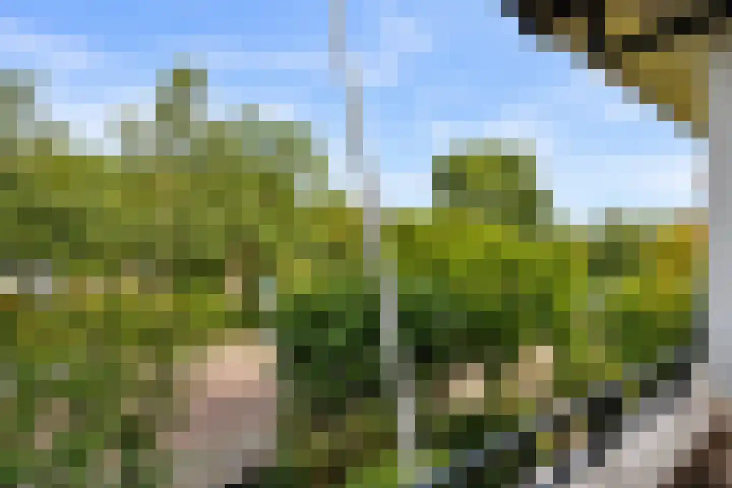 Prof. P.S. Gerbrandyweg 3 Den Haag thumbnail 37