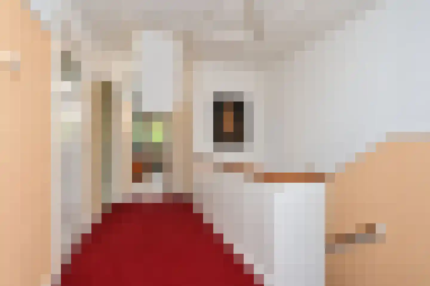 Prof. P.S. Gerbrandyweg 3 Den Haag thumbnail 39