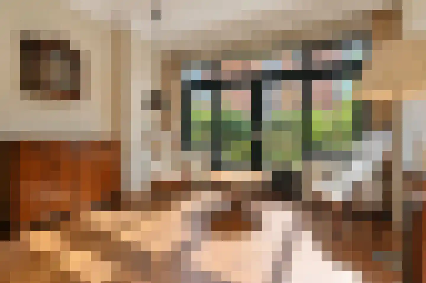 Prof. P.S. Gerbrandyweg 3 Den Haag thumbnail 4