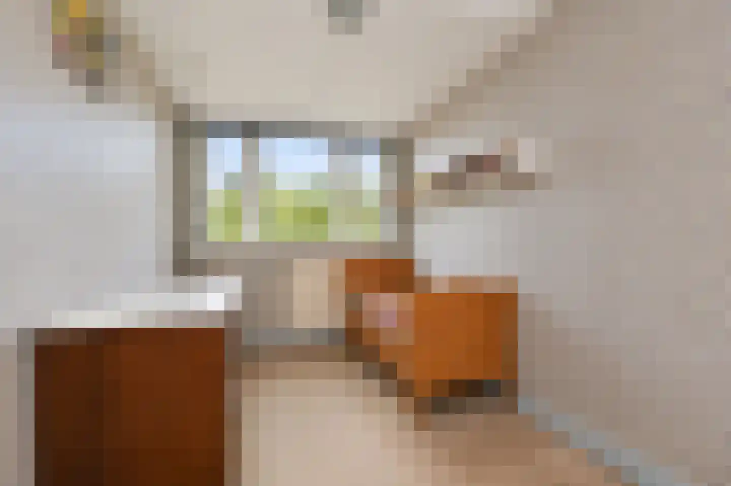 Prof. P.S. Gerbrandyweg 3 Den Haag thumbnail 47