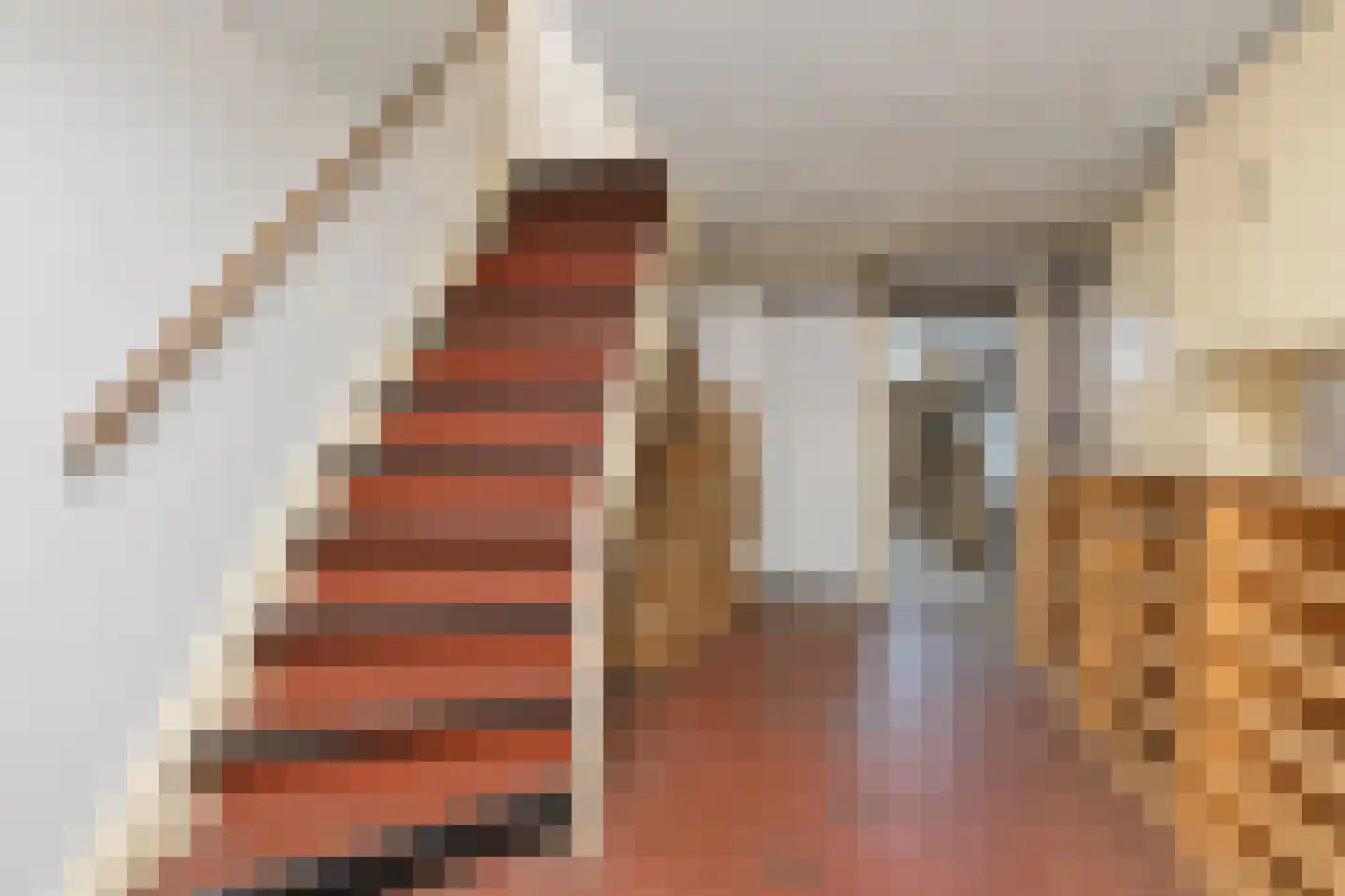 Prof. P.S. Gerbrandyweg 3 Den Haag thumbnail 51