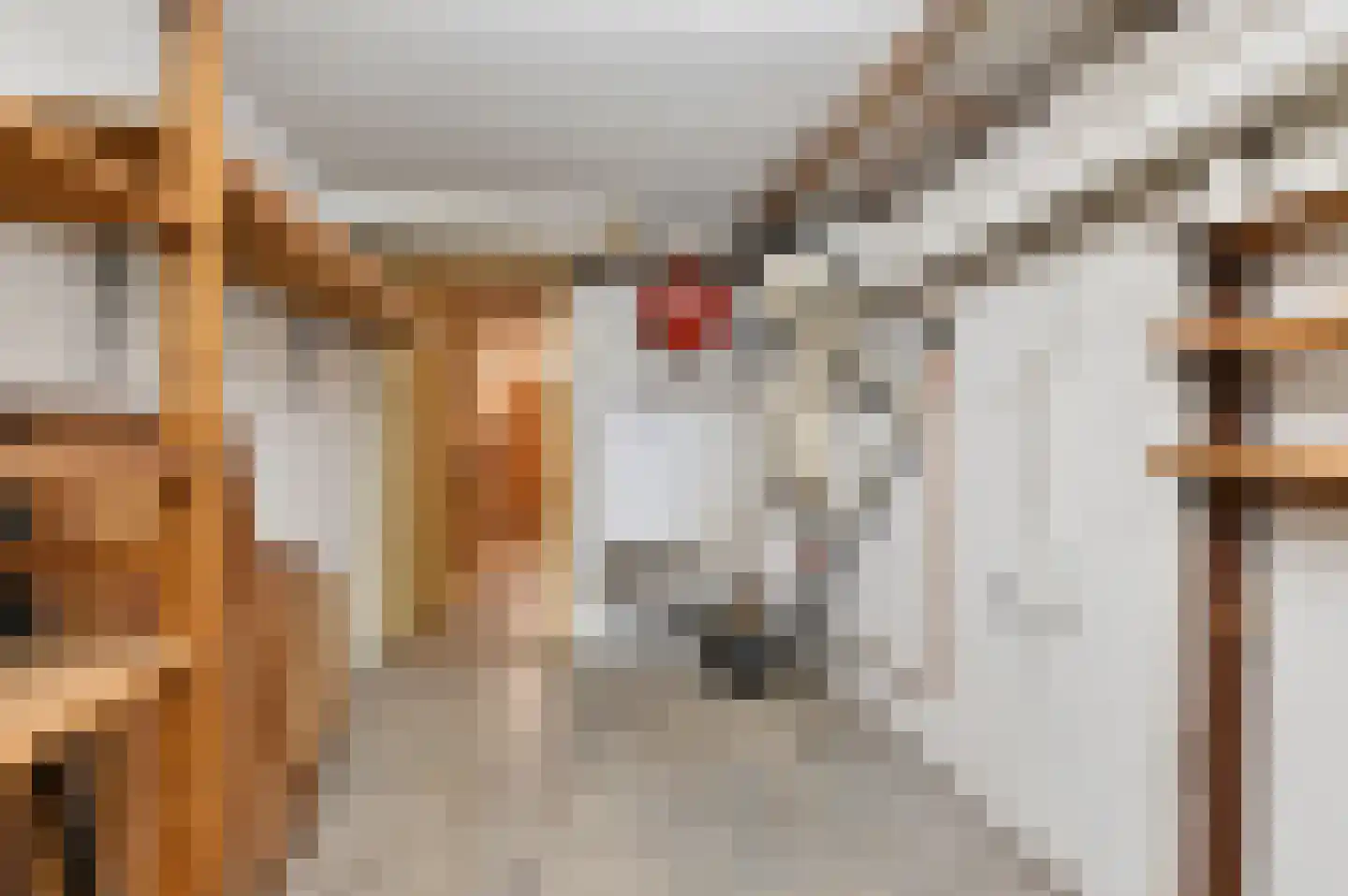 Prof. P.S. Gerbrandyweg 3 Den Haag thumbnail 52