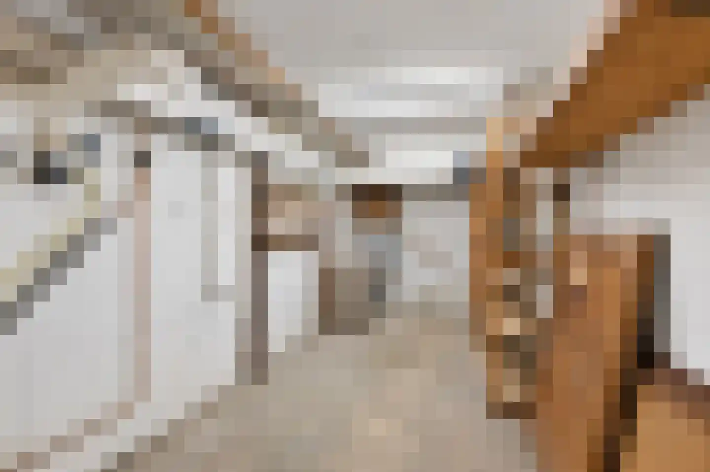 Prof. P.S. Gerbrandyweg 3 Den Haag thumbnail 53