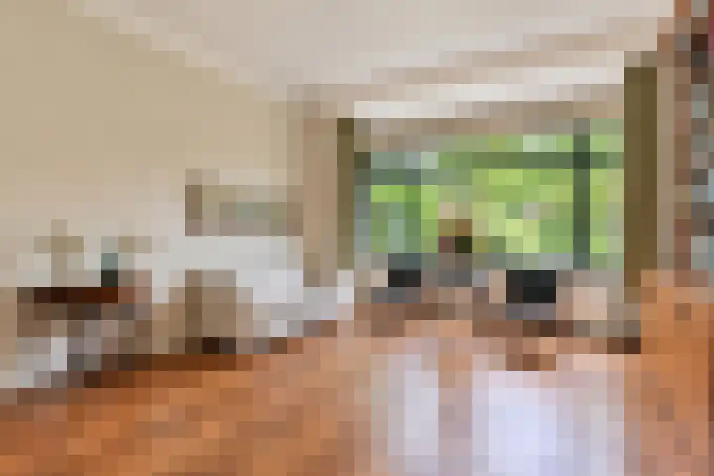 Prof. P.S. Gerbrandyweg 3 Den Haag thumbnail 7