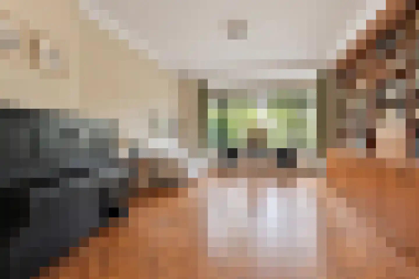 Prof. P.S. Gerbrandyweg 3 Den Haag thumbnail 8