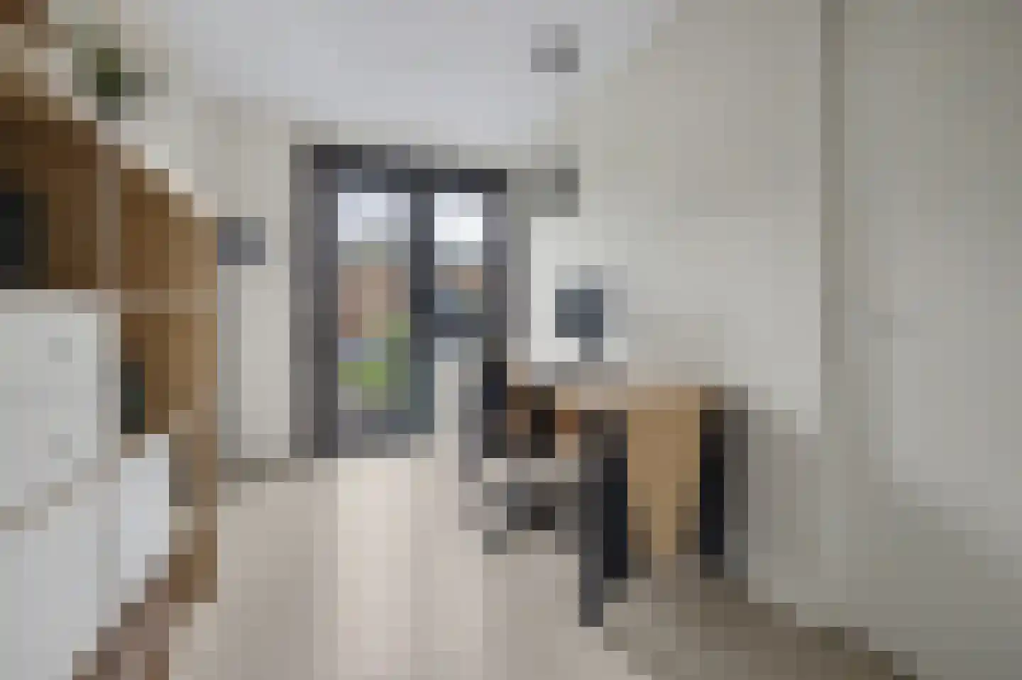 Prof. Piersonstraat 26 c Waalwijk thumbnail 15