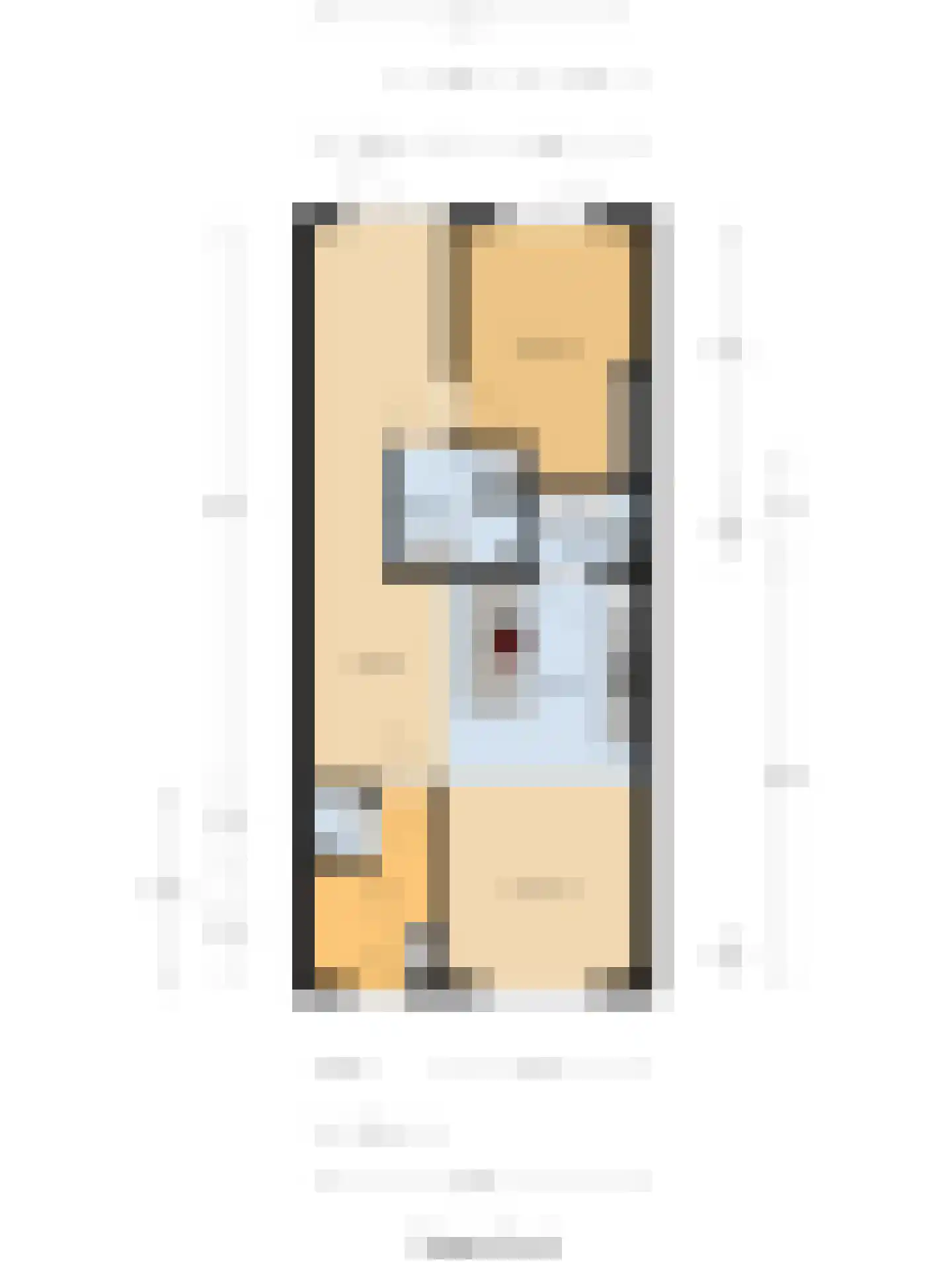 Prof. Piersonstraat 26 c Waalwijk thumbnail 22