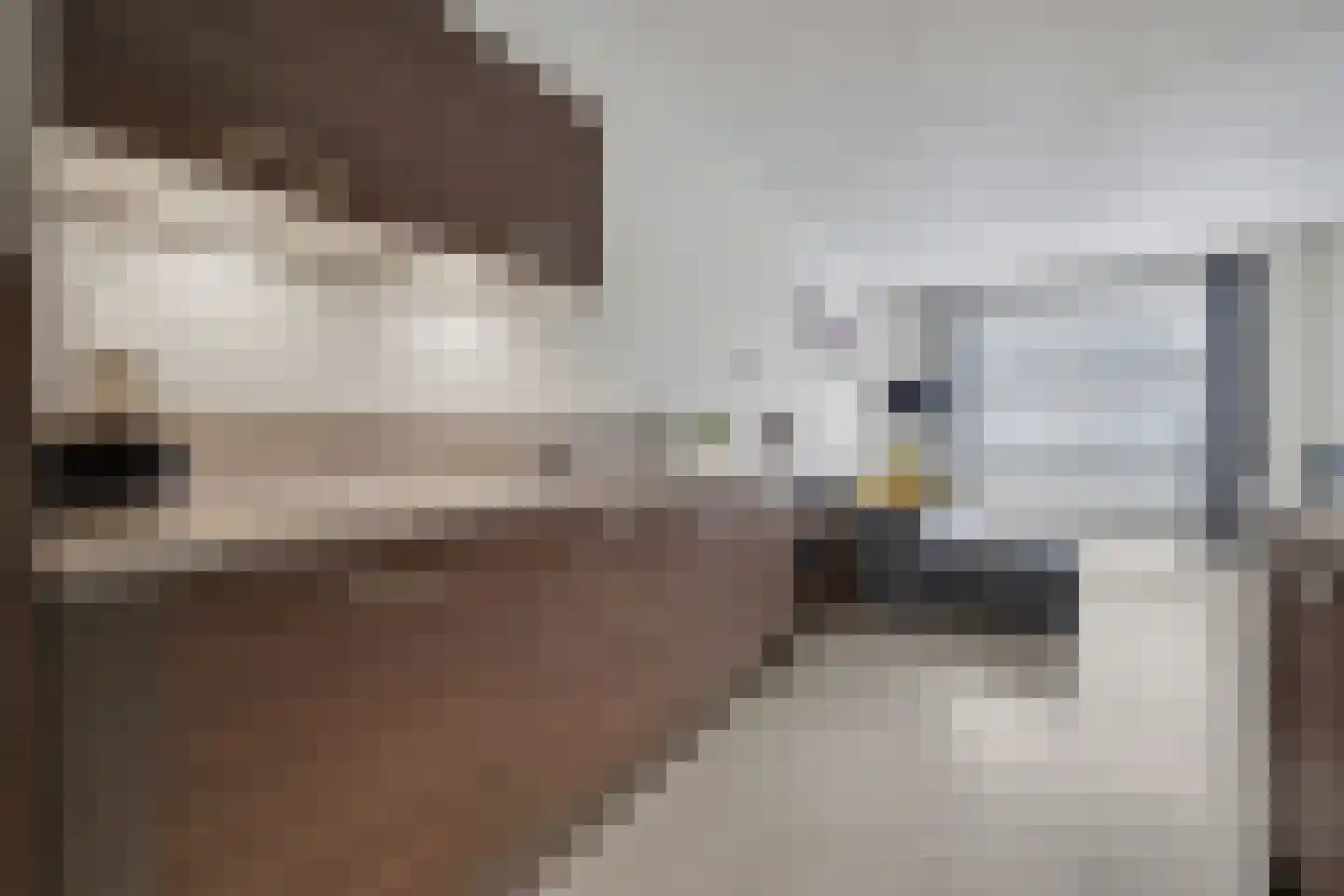 Prof. Piersonstraat 26 c Waalwijk thumbnail 7