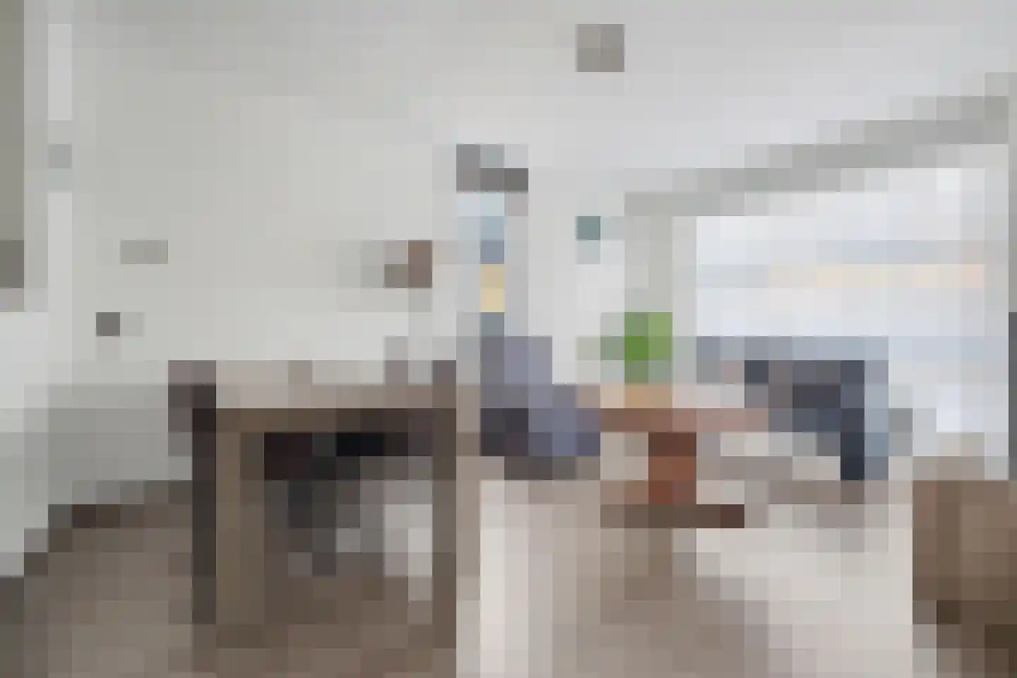 Prof. Piersonstraat 26 Waalwijk thumbnail 10