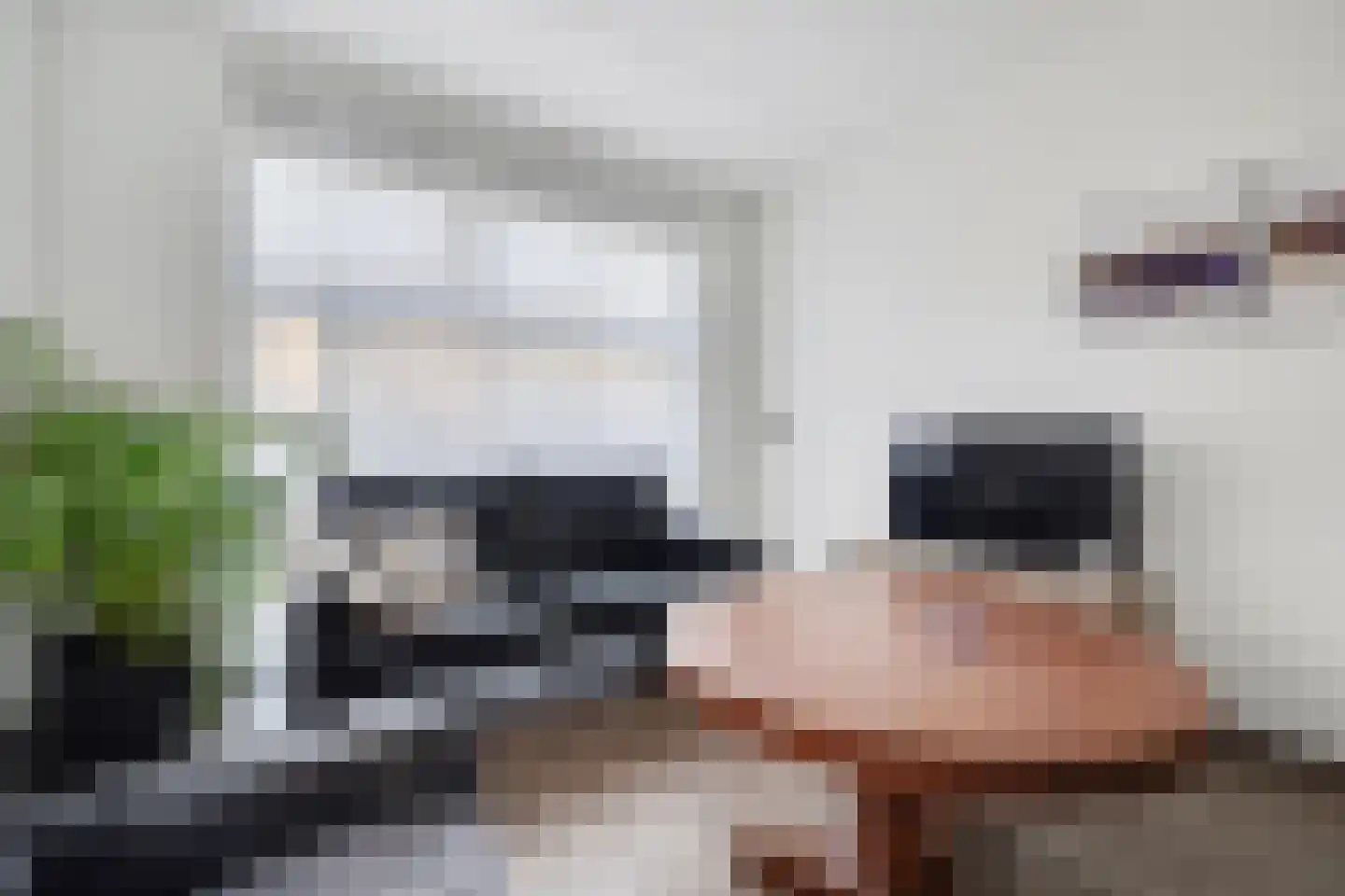 Prof. Piersonstraat 26 Waalwijk thumbnail 11