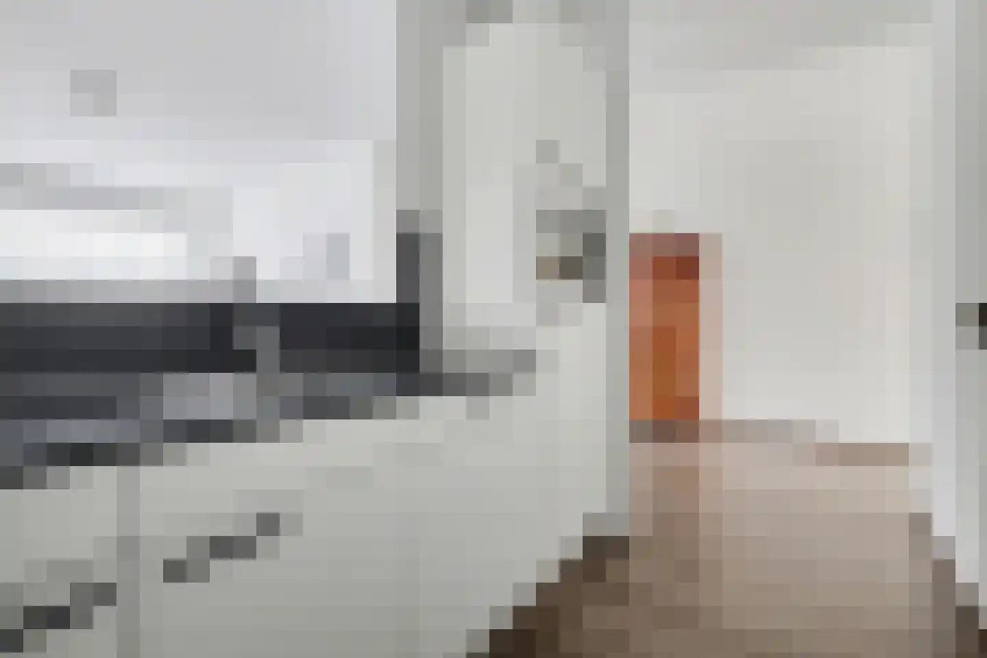 Prof. Piersonstraat 26 Waalwijk thumbnail 14