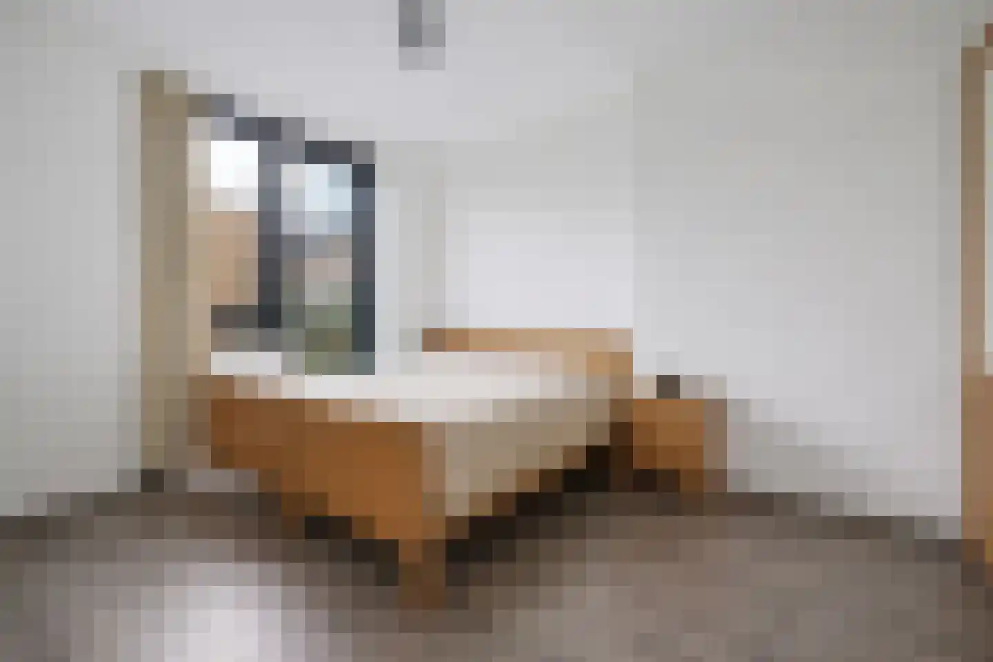 Prof. Piersonstraat 26 Waalwijk thumbnail 4