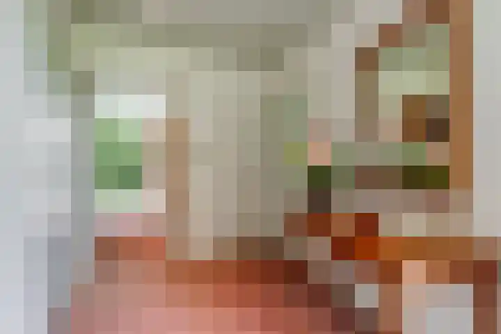 Prof. Pulsersstraat 50 Uden thumbnail 11