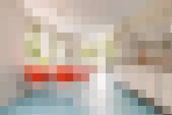 Prof. Pulsersstraat 50 Uden thumbnail 13