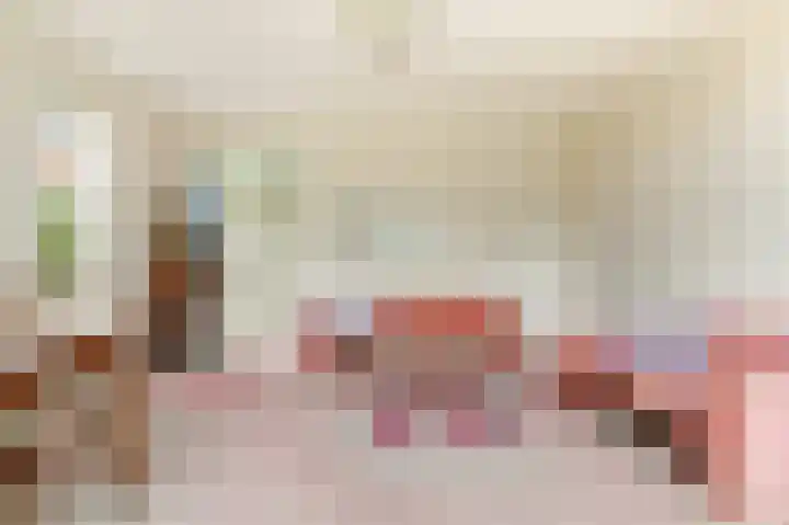 Prof. Pulsersstraat 50 Uden thumbnail 18