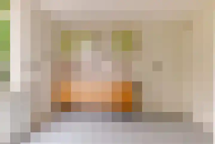 Prof. Pulsersstraat 50 Uden thumbnail 20