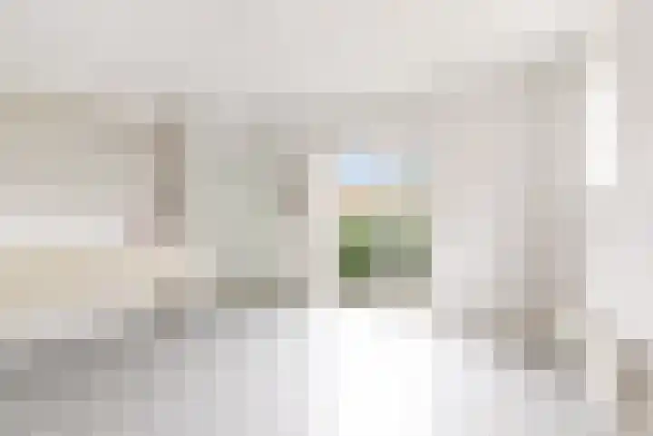 Prof. Pulsersstraat 50 Uden thumbnail 24