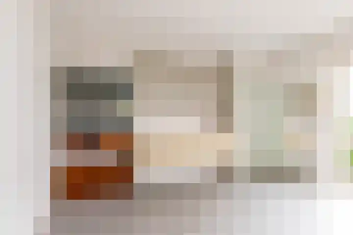 Prof. Pulsersstraat 50 Uden thumbnail 25