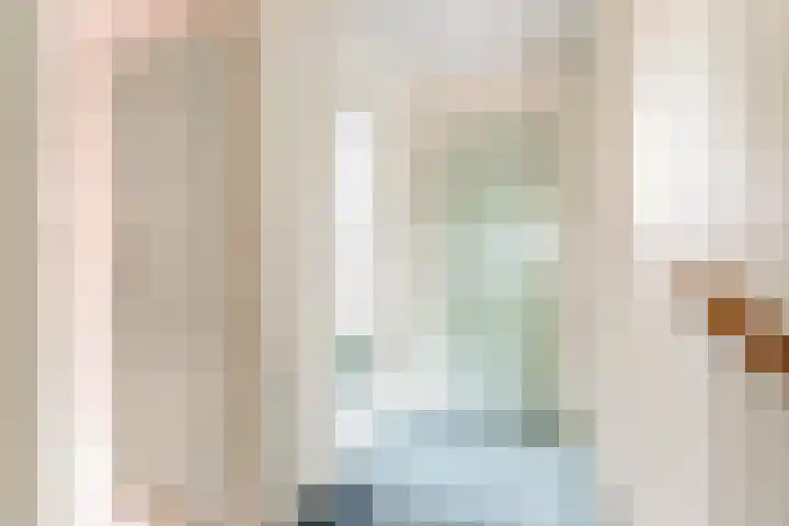 Prof. Pulsersstraat 50 Uden thumbnail 30