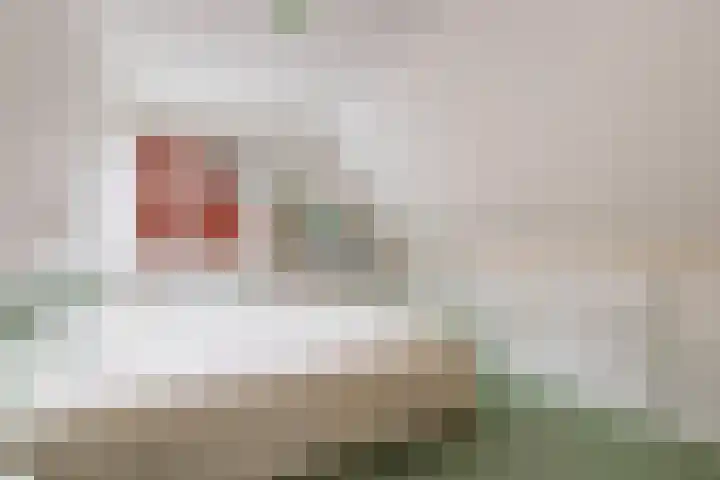 Prof. Pulsersstraat 50 Uden thumbnail 31