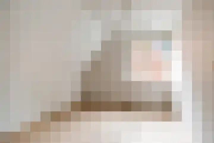 Prof. Pulsersstraat 50 Uden thumbnail 32