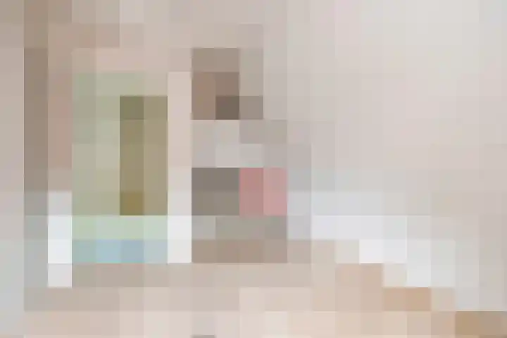 Prof. Pulsersstraat 50 Uden thumbnail 33