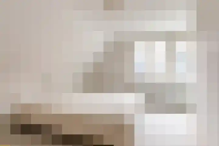 Prof. Pulsersstraat 50 Uden thumbnail 34
