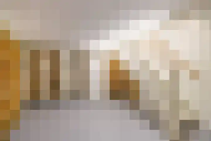 Prof. Pulsersstraat 50 Uden thumbnail 38