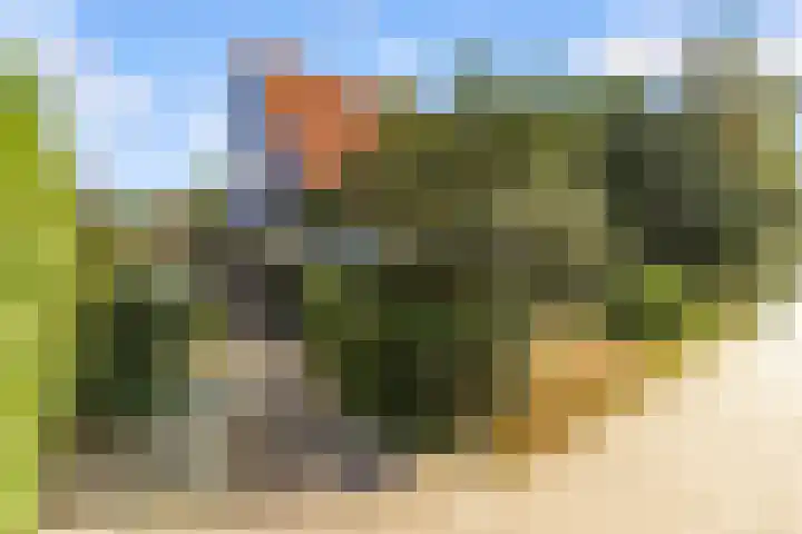 Prof. Pulsersstraat 50 Uden thumbnail 4