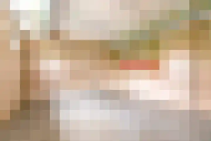Prof. Pulsersstraat 50 Uden thumbnail 40