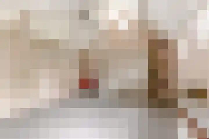 Prof. Pulsersstraat 50 Uden thumbnail 42