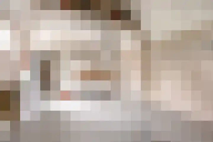 Prof. Pulsersstraat 50 Uden thumbnail 43