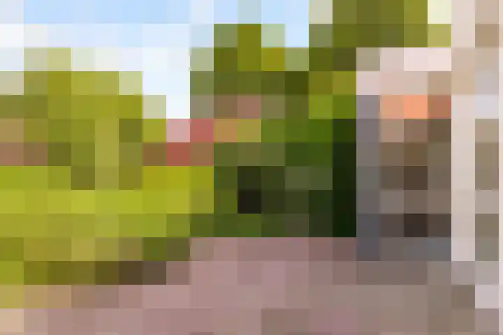 Prof. Pulsersstraat 50 Uden thumbnail 44