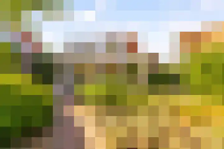 Prof. Pulsersstraat 50 Uden thumbnail 45