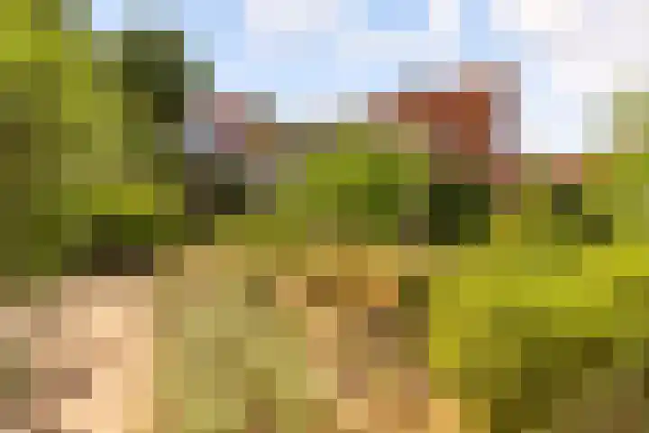 Prof. Pulsersstraat 50 Uden thumbnail 47