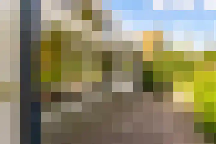 Prof. Pulsersstraat 50 Uden thumbnail 48