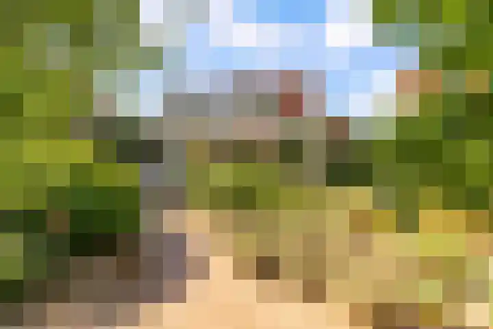 Prof. Pulsersstraat 50 Uden thumbnail 49